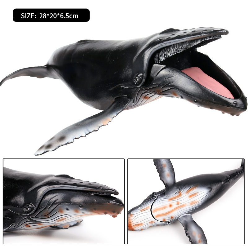 Oenux 해양 동물 야만인 Megalodon Belu - Kids Without Education 리뷰 및 가격